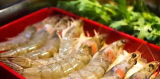 กุ้งมีกี่สายพันธุ์ เอามาทำเมนูอะไรอร่อย ต้องรู้ก่อนซื้อ